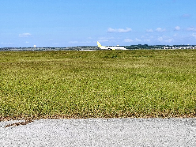 IMG040