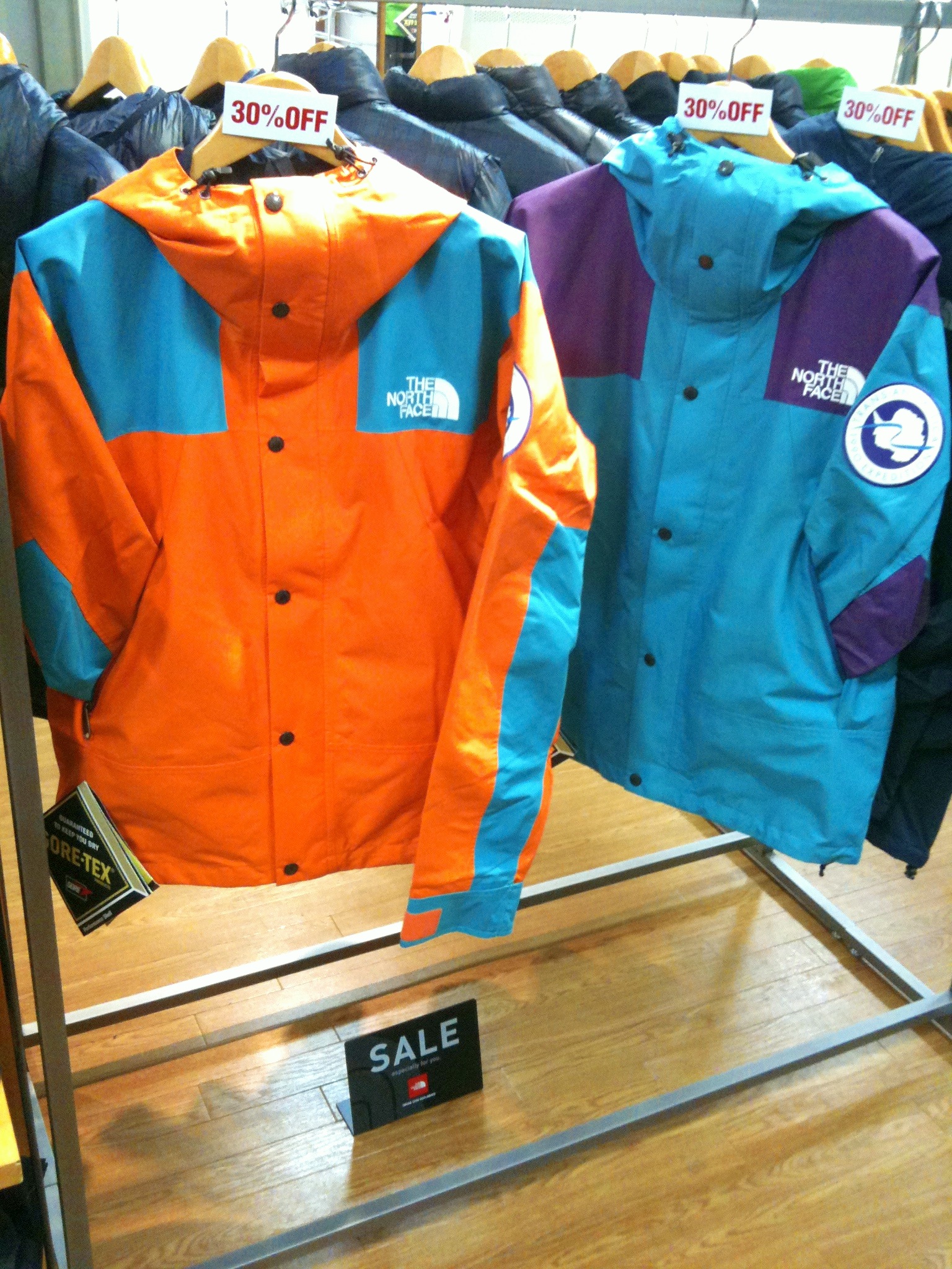 THE NORTH FACE mountain jacket L 南極大陸