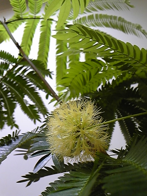 エバーフレッシュ ｒ The North Face ザ ノース フェイス 名古屋ファッションワン店 Blog