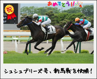 シュシュブリーズ新馬戦