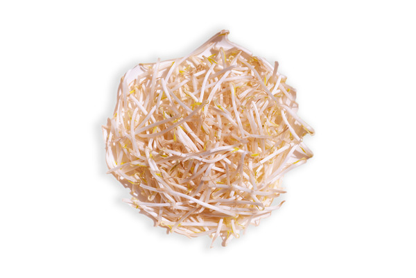 Moyashi-Mung-bean-sprouts