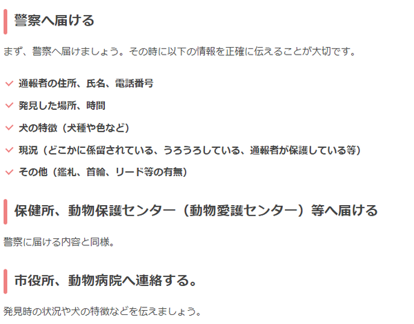 捨て犬を見つけた時