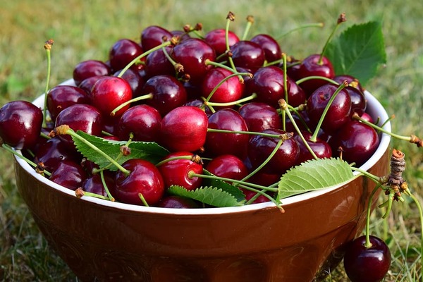 cherries-bowl-fruit-delicious