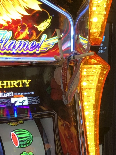 wpmF5fn