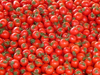tomatoes-73913_960_720