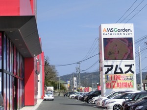photo_4