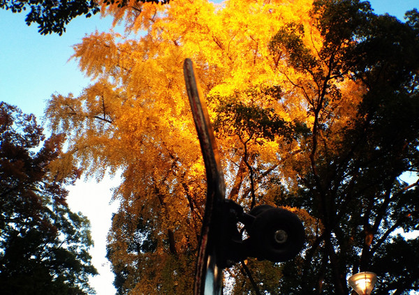 写真 12-11-25 16 28 57