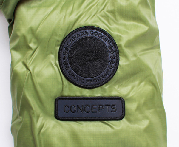 concepts_canadagoosestars_green_15