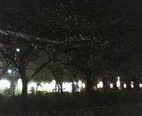 201003281914000