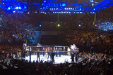 120226ufc-12-bensonhenderson-0