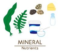 写真 ミネラル 1 - (200x174) に縮小