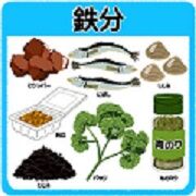 写真 鉄分 4 - (180x180) に縮小