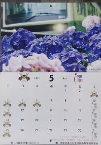 ̿ ⥫  8  DSC_0777 (205x294)