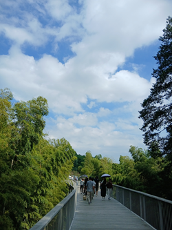 写真 里山ガーデン・旭区 2025.10 7 (250x333) 20251005_122421 -