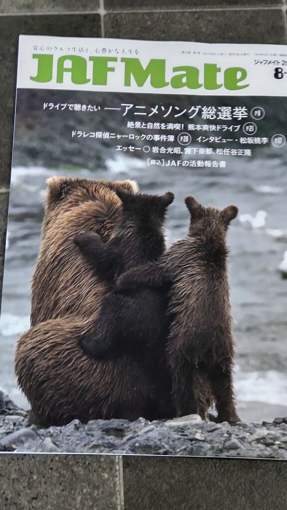 JAF ¼Ì¿¿ DSC_0018