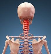 ¼Ì¿¿ ¼ó¡¦·ÛÄÇ 7 -(175x184) ÊÔ½¸ºÑ