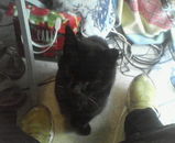 ¥¯¥í¡¦¾²¡¦¤ª¤¹¤ï¤ê