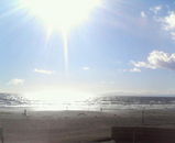 ¥·¥ã¥¤¥ó£°£¸