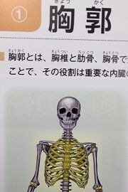 ¼Ì¿¿ ¶»³Ô ÊÔ½¸ºÑ¤ß (180x270) ¤Ë½Ì¾® ¡ý¡© DSC_0008 - ¥³¥Ô¡¼