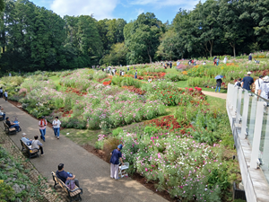 写真 里山ガーデン・旭区 2025.10 1 (300x225) 20251005_122833