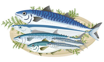 ¼Ì¿¿ Æù¡¦µû 3