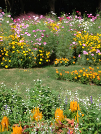 写真 里山ガーデン from M 3 (200x266) 1760339656872