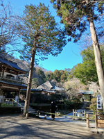 �̿� �̳��� �� ��������ŷ 2026.1.4 ���� (150x200)   20260104_111334 -