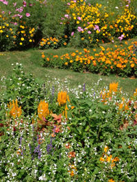 写真 里山ガーデン from M 1 (200x266) 1760339656550