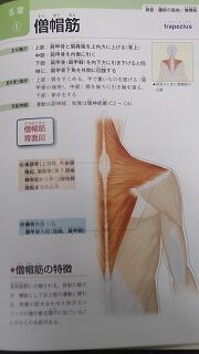 ¼Ì¿¿ ¶ÚÆù ÁÎ˹¶Ú ¡ý (180x320) ¤Ë½Ì¾® DSC_0618 - ¥³¥Ô¡¼