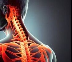 ¼Ì¿¿¡¡¼ó¡¦·ÛÄǤ«¤é¸ª¡¡2 (2) - ¥µ¥¤¥º¾¯¤·³ÈÂç(234-201¤Ë¡©) ¥³¥Ô¡¼