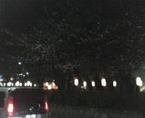 201003281915000