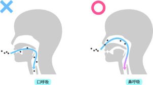 ¼Ì¿¿ ¸ÆµÛ 6¡¡70%¤Ë½Ì¾®