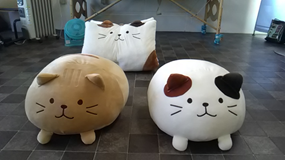 写真 スタジオ 仲間 (285x160) P1000139 - コピー