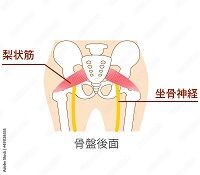 ̿  ¹ 5 ڡ(200x175) ˽̾