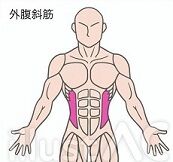 ̿  ʢж 2 (173x162)