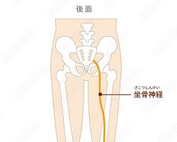 ̿  ¹ 1 (2) (250x200) ˽̾