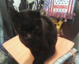 ������Ϣ³����