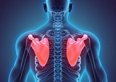 ¼Ì¿¿ ¸ª¹Ã¹ü¡¦ÇØÃæ¡¡£± -(236x168) ½Ì¾®70%¤Ë