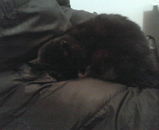 ��������������