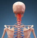 ¼Ì¿¿ ¼ó¡¦·ÛÄÇ 7 -(130x136) ÊÔ½¸ºÑ -