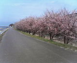 201003011059000