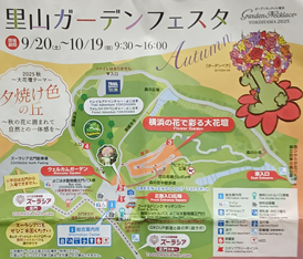 写真 里山ガーデン チラシ 1 (274x234) 20251007_102831 -