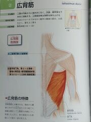 ¼Ì¿¿ ¶ÚÆù ¹ÇØ¶Ú ÊÔ½¸ºÑ ¡ý (180x242) ¤Ë½Ì¾®¡¡DSC_0620 - ¥³¥Ô¡¼