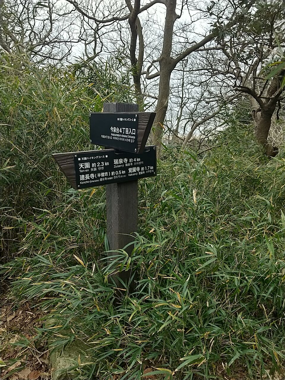 鎌倉天園ハイキングコース 今泉台4丁目から覚園寺 ルートまとめ Tokyofreqのblog 鎌倉天園ハイキングコース 今泉台4丁目から覚園寺 ルートまとめ Tokyofreqのblog