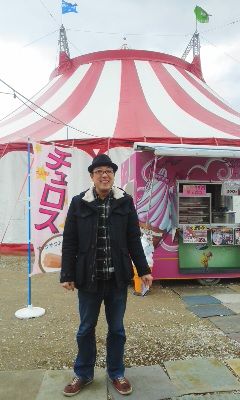 ハッピードリームサーカス キジトラ猫の3姉妹 ハッピードリームサーカス キジトラ猫の3姉妹
