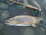 02ee5779.jpg