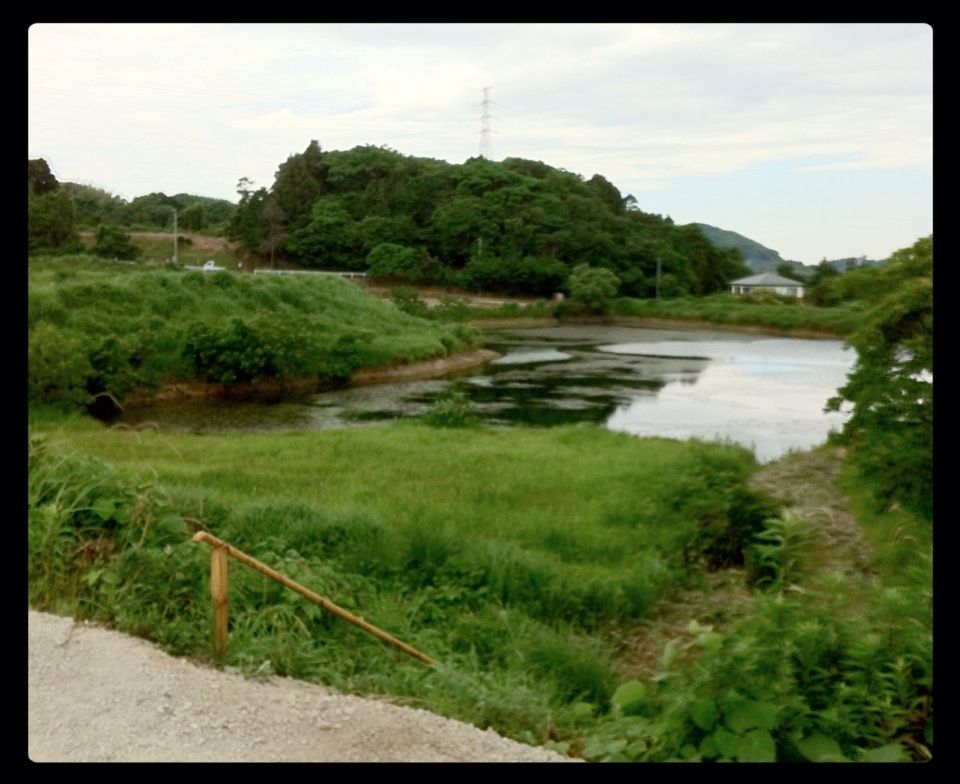 バス釣り 野池 古賀 釣行記 福岡