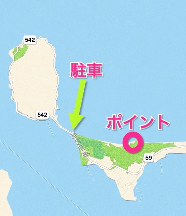謎の志賀島サーフ 釣行記 福岡 謎の志賀島サーフ 釣行記 福岡