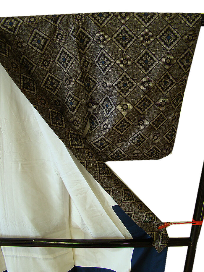 時代屋 美品 裄64.4cm 人気 本場 龍郷 大島紬 径横絣 正絹 未