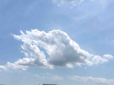 今日の空